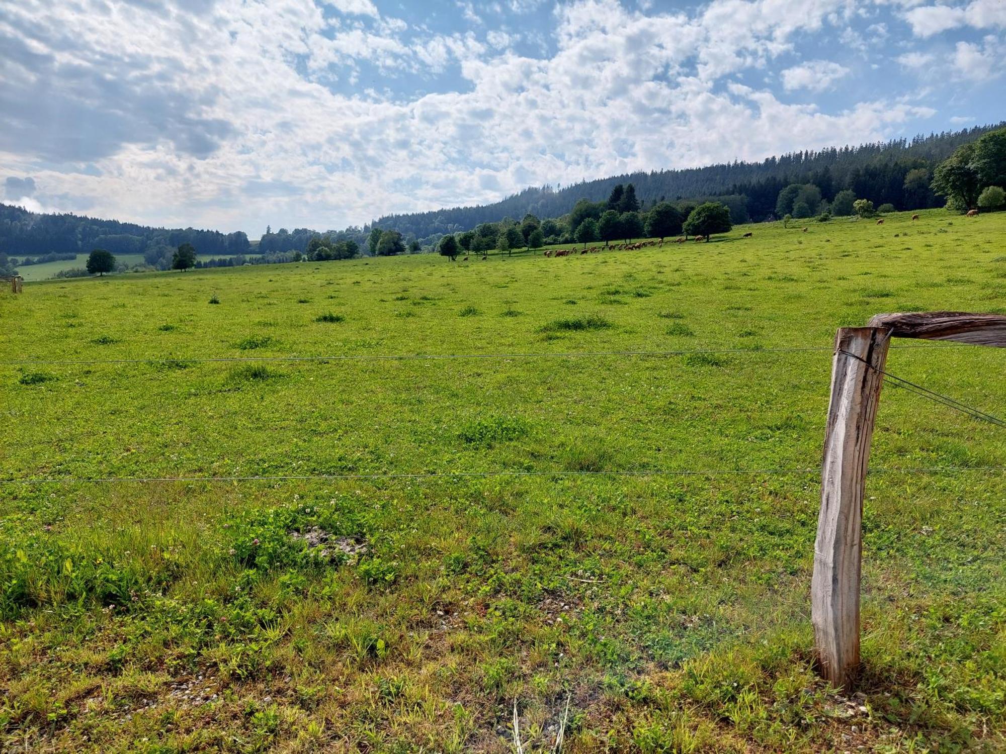 Penzion Slupecna Lipno nad Vltavou Luaran gambar